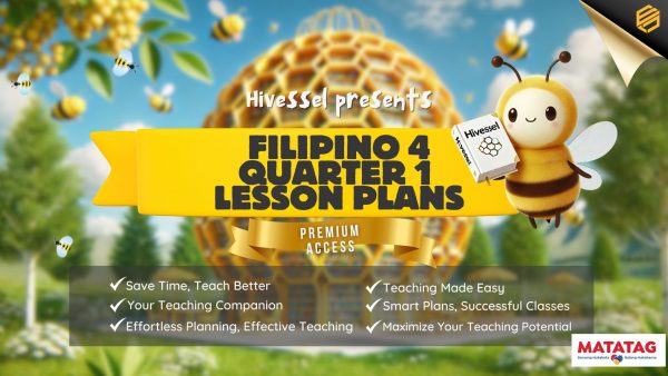 E Lesson Plans Hivessel